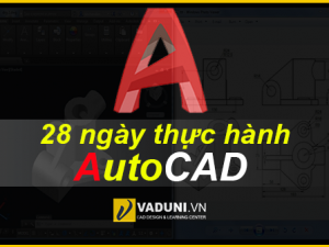 28-ngay-thuc-hanh-AutoCAD-cung-chuyen-gia